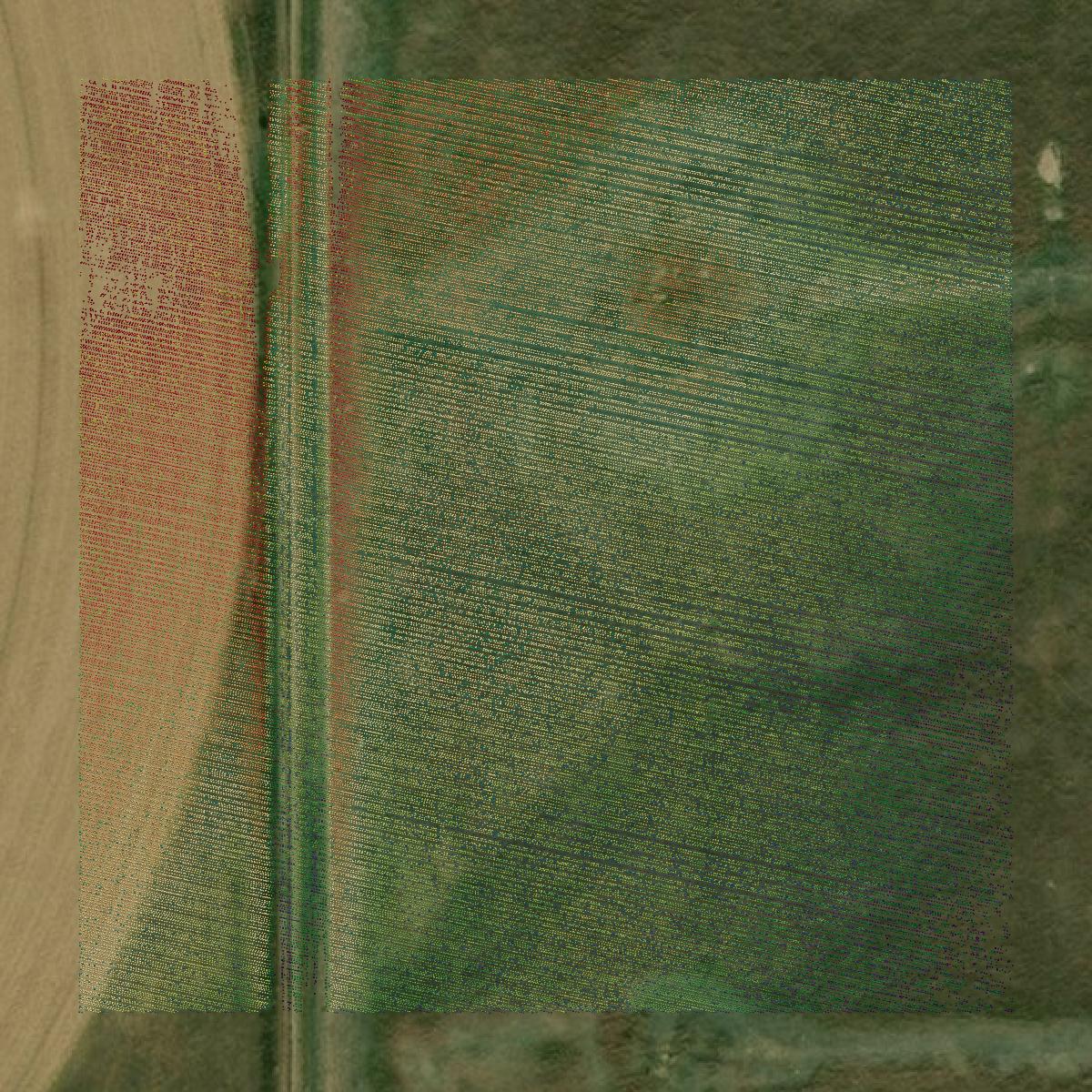 This image shows a LiDAR point cloud in Gray County created using GIS data in Equator.