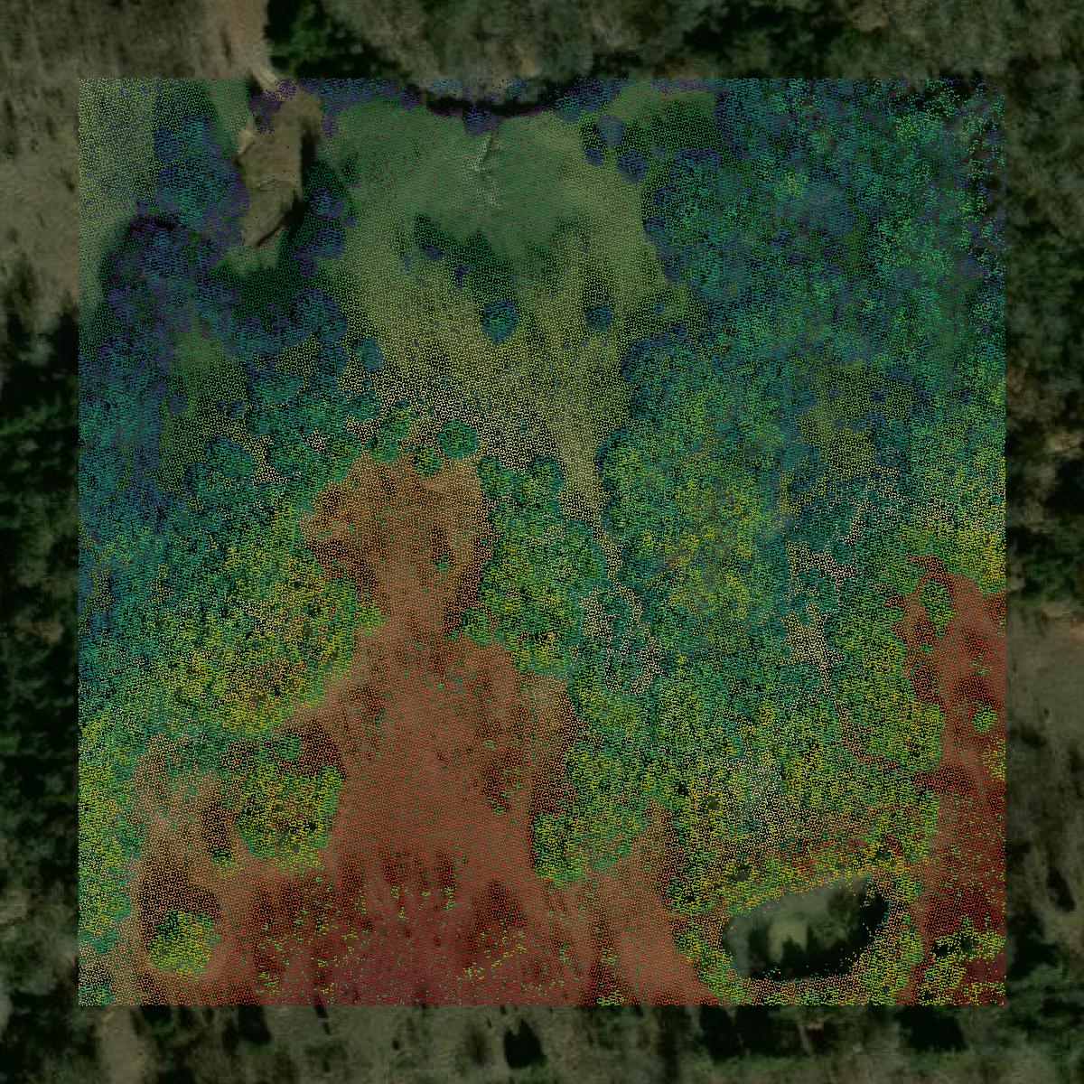 This image shows a LiDAR point cloud in Grayson County created using GIS data in Equator.
