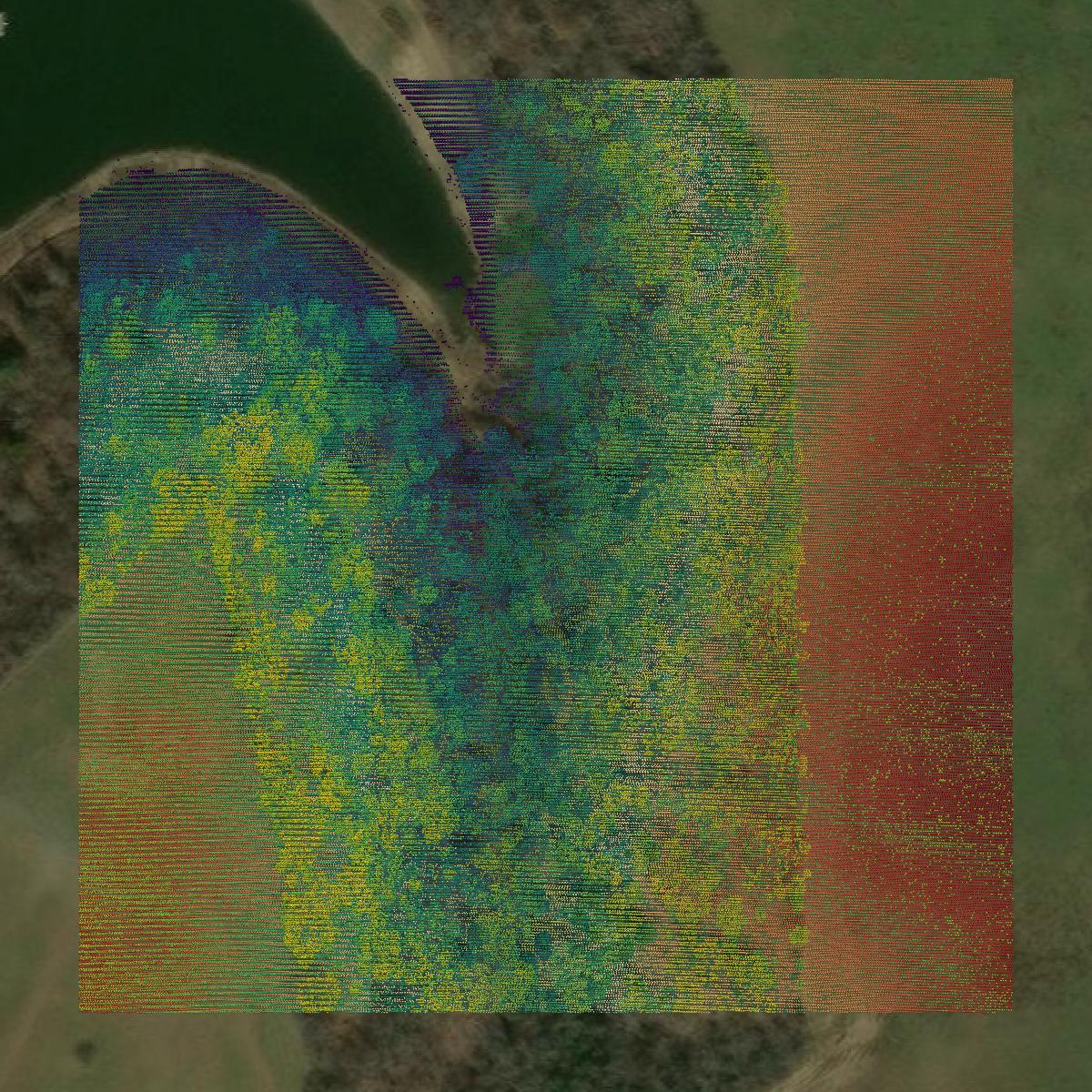 This image shows a LiDAR point cloud in Grayson County created using GIS data in Equator.