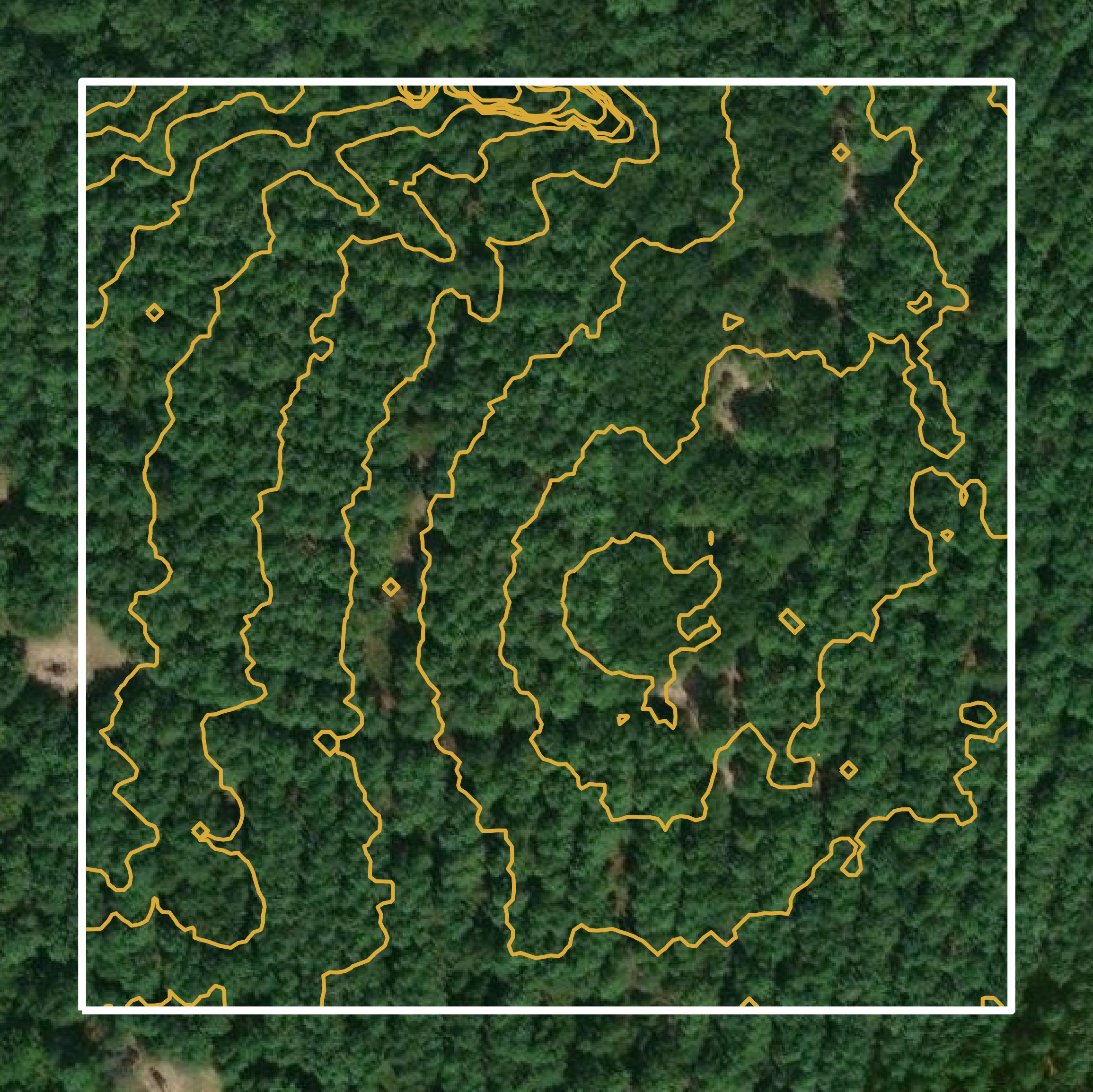This image shows a contour map in Gregg County created using GIS data in Equator.