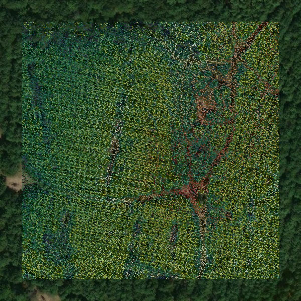 This image shows a LiDAR point cloud in Gregg County created using GIS data in Equator.