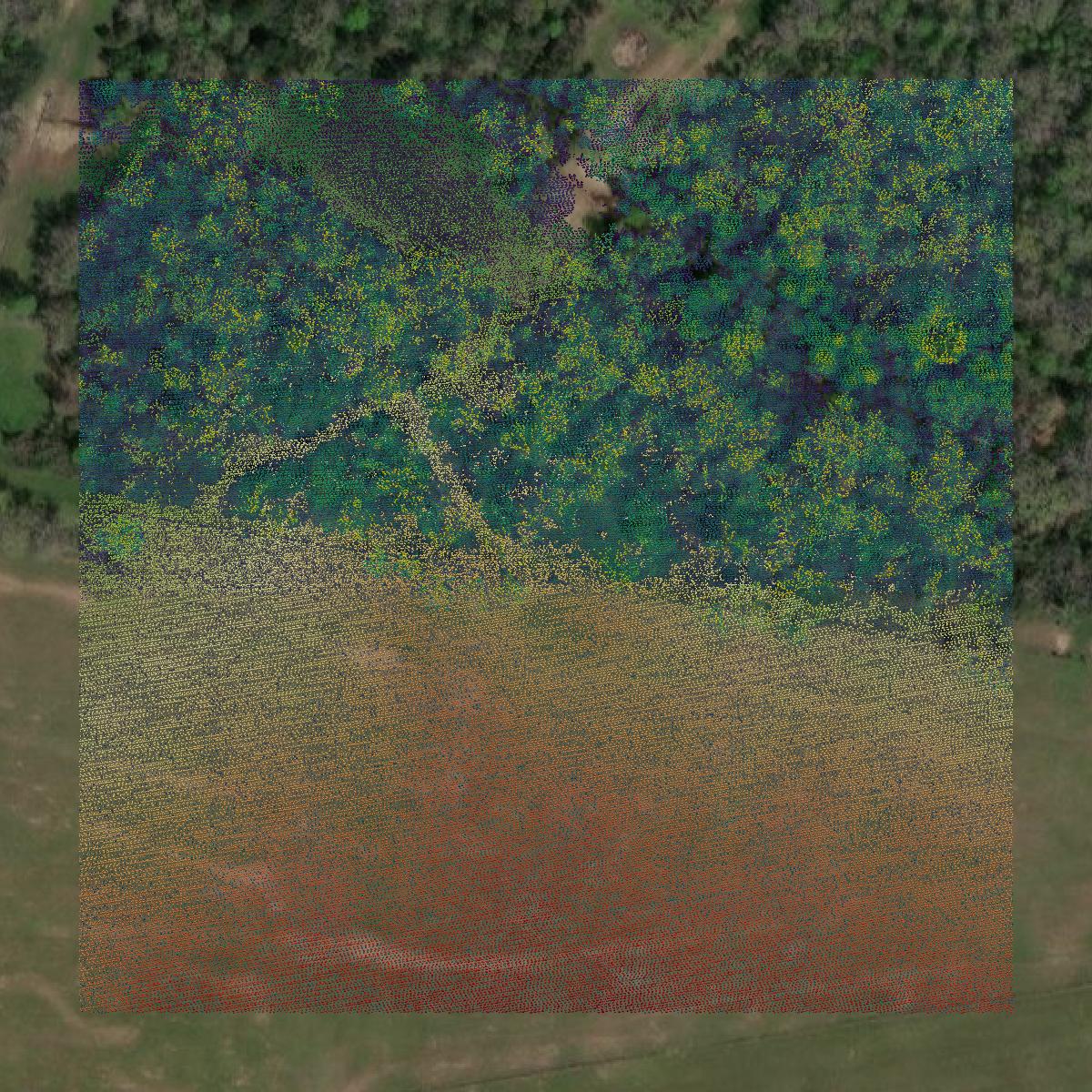 This image shows a LiDAR point cloud in Grimes County created using GIS data in Equator.