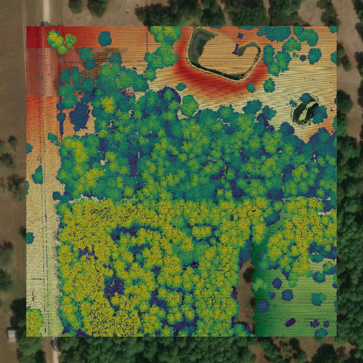 This image shows a LiDAR point cloud in Grimes County created using GIS data in Equator.