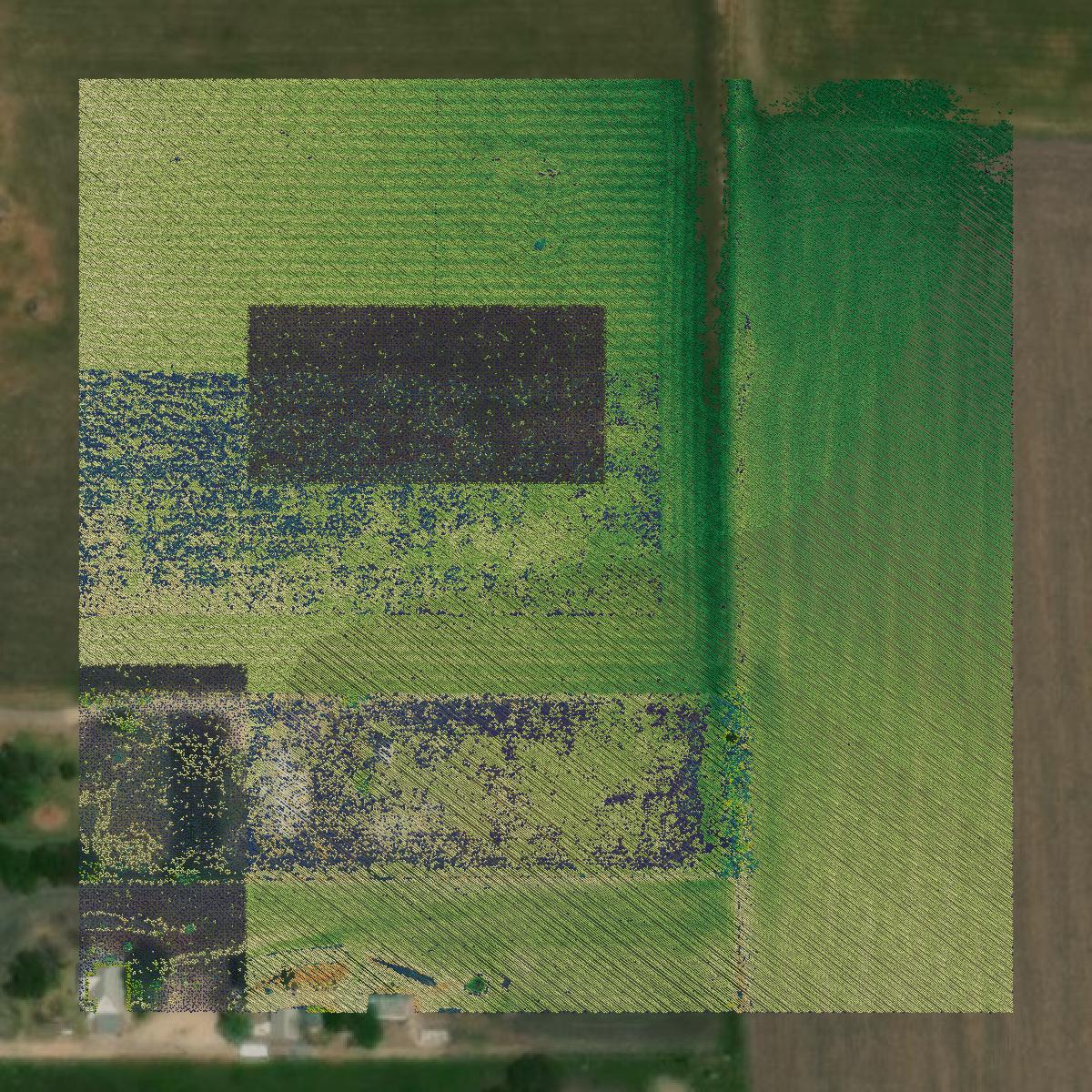 This image shows a LiDAR point cloud in Guadalupe County created using GIS data in Equator.