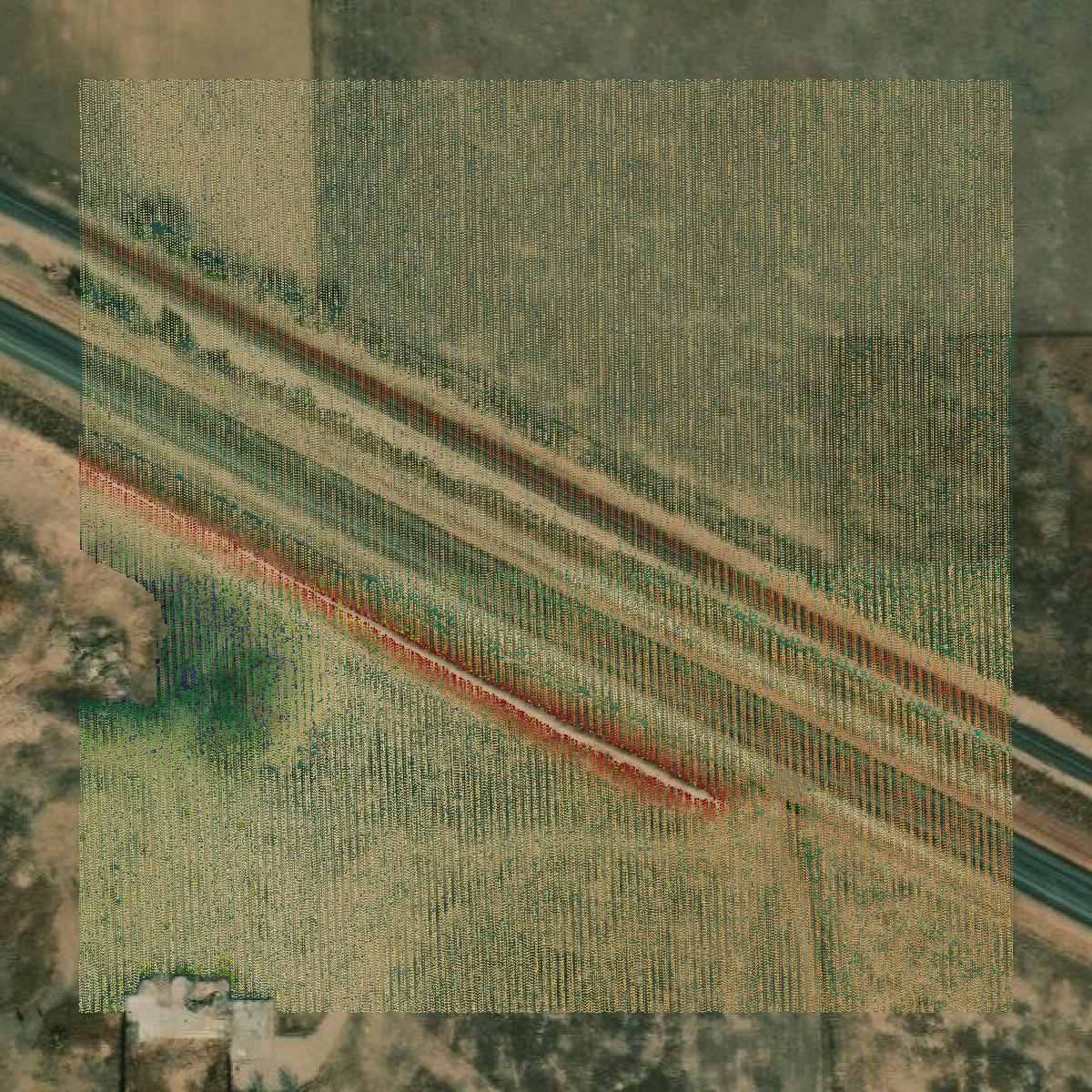 This image shows a LiDAR point cloud in Hale County created using GIS data in Equator.