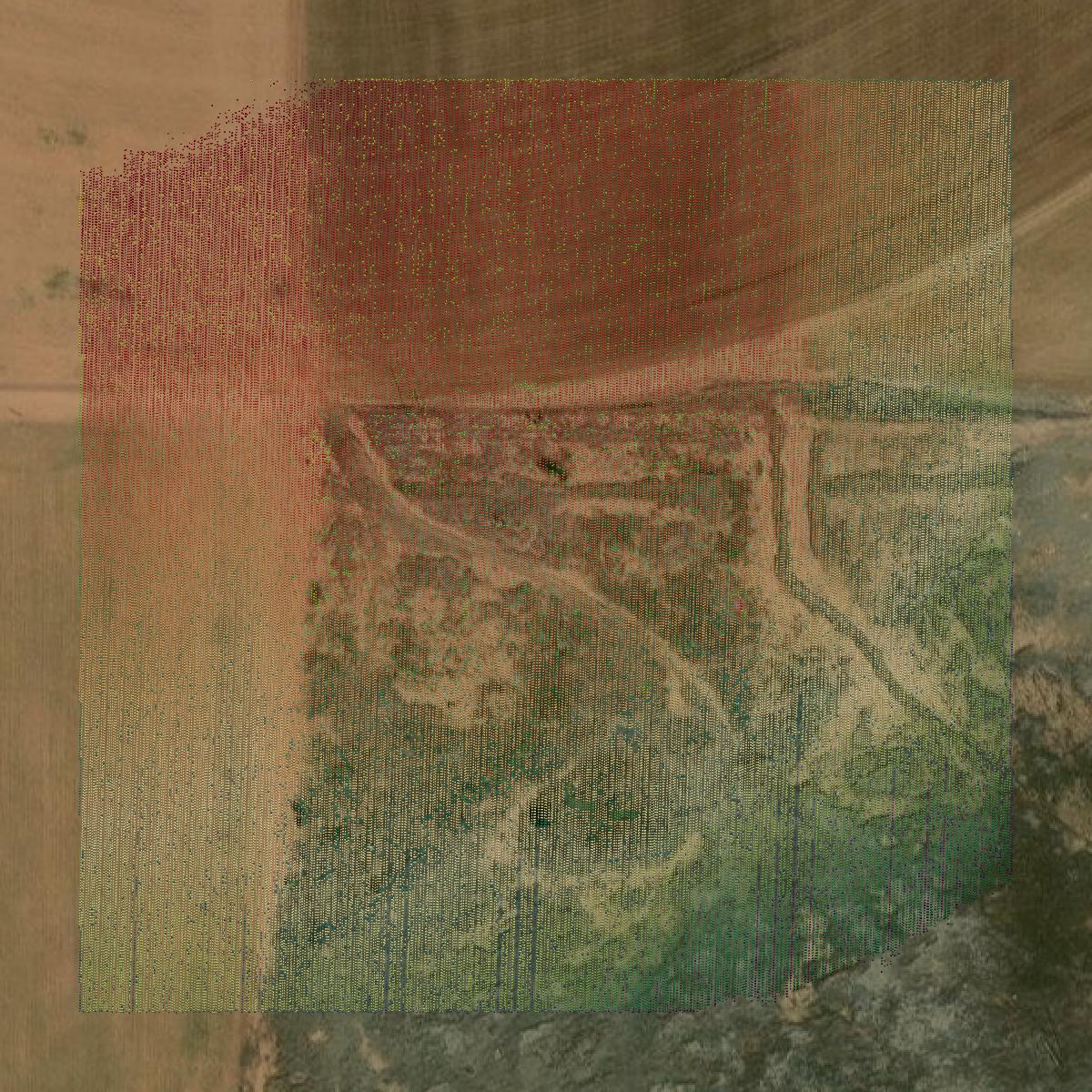 This image shows a LiDAR point cloud in Hale County created using GIS data in Equator.