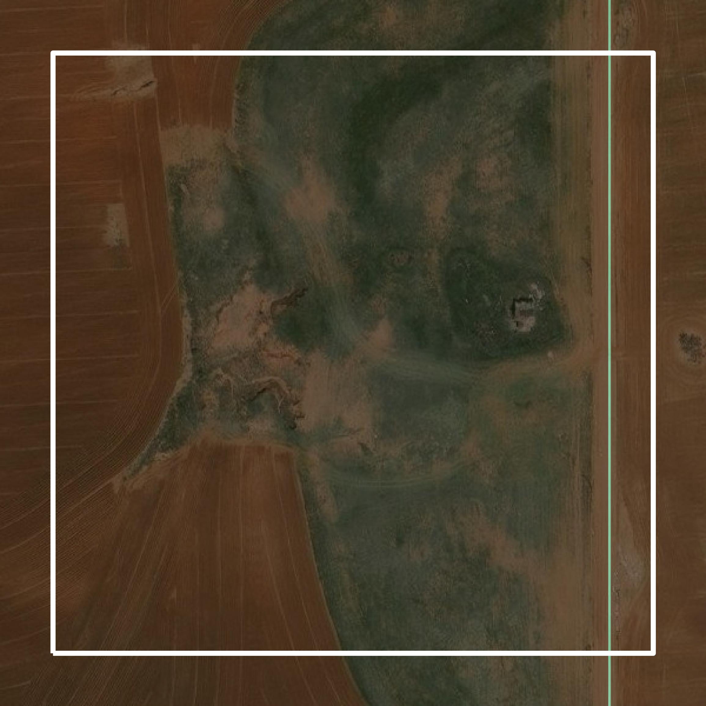 This image shows parcel and building data in Hall County created using GIS data in Equator.