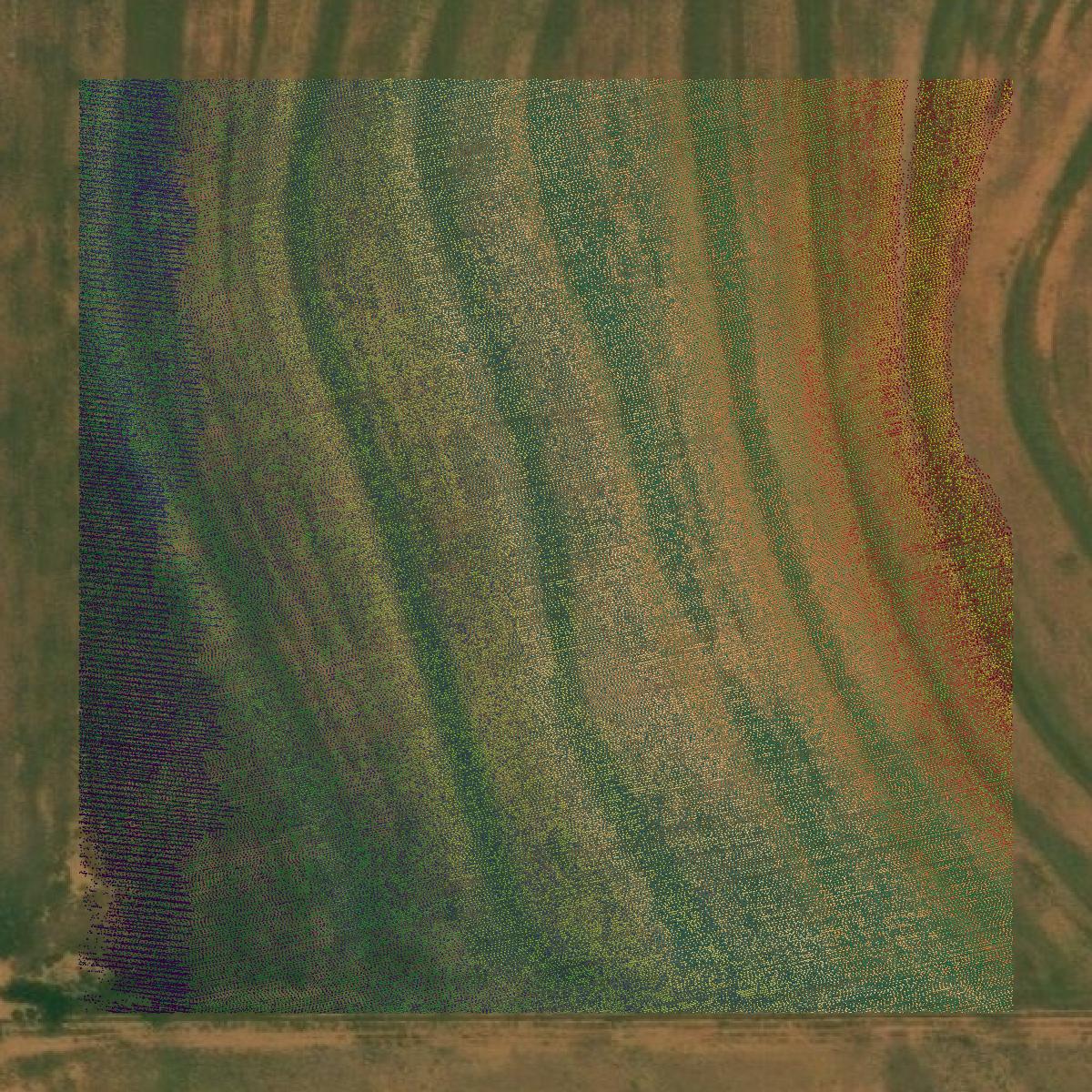 This image shows a LiDAR point cloud in Hall County created using GIS data in Equator.