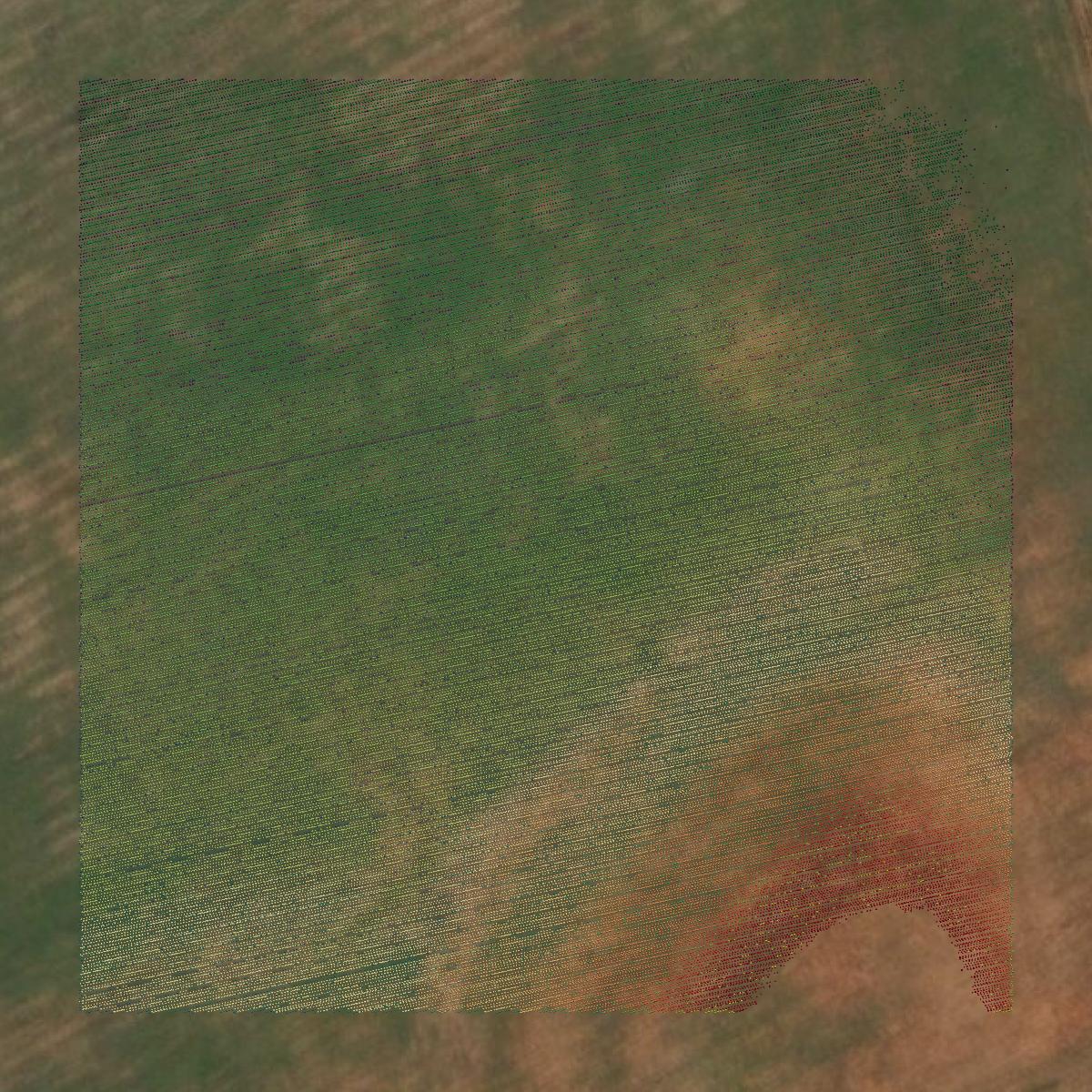 This image shows a LiDAR point cloud in Hardeman County created using GIS data in Equator.