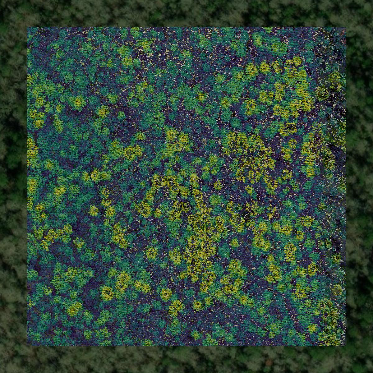 This image shows a LiDAR point cloud in Hardin County created using GIS data in Equator.