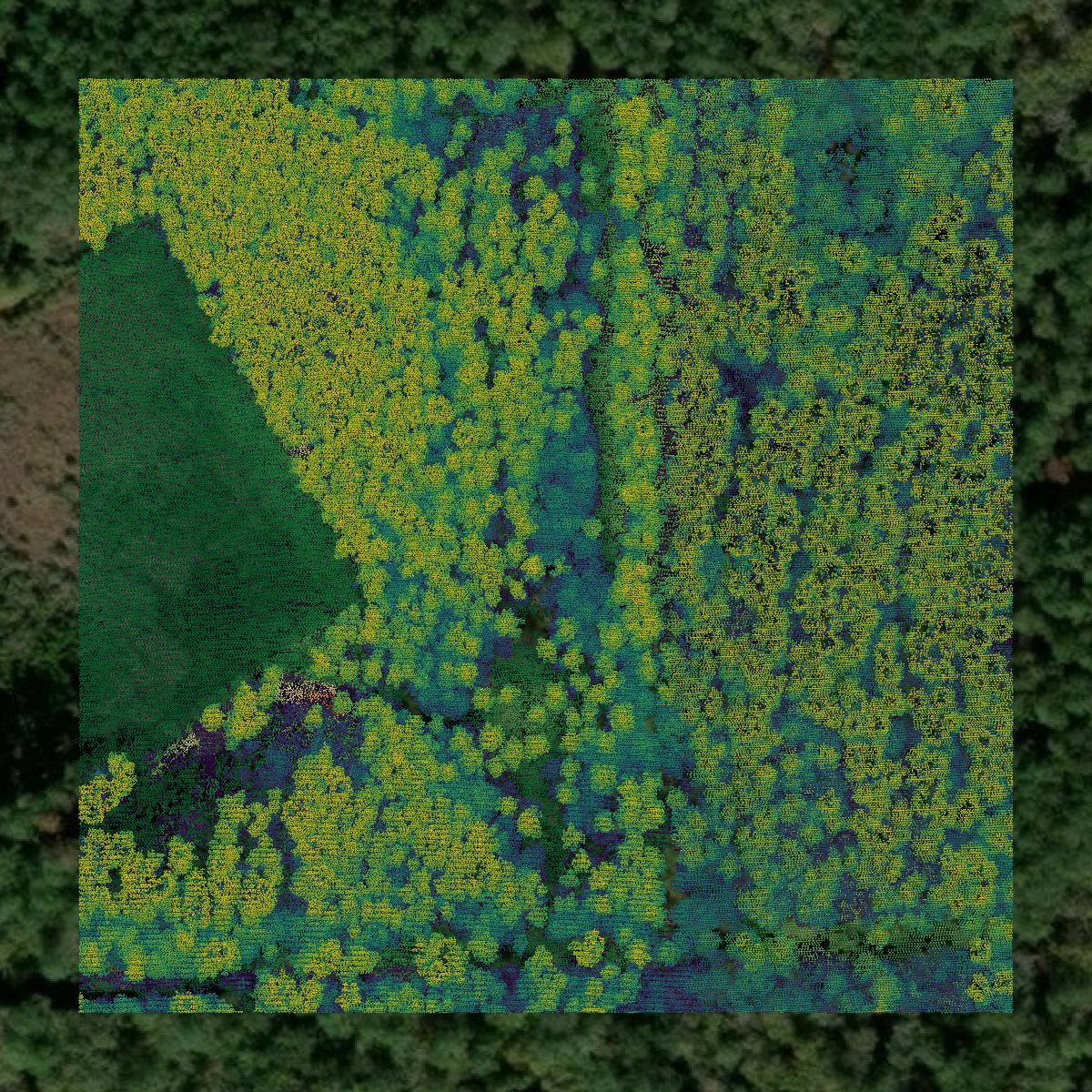 This image shows a LiDAR point cloud in Hardin County created using GIS data in Equator.