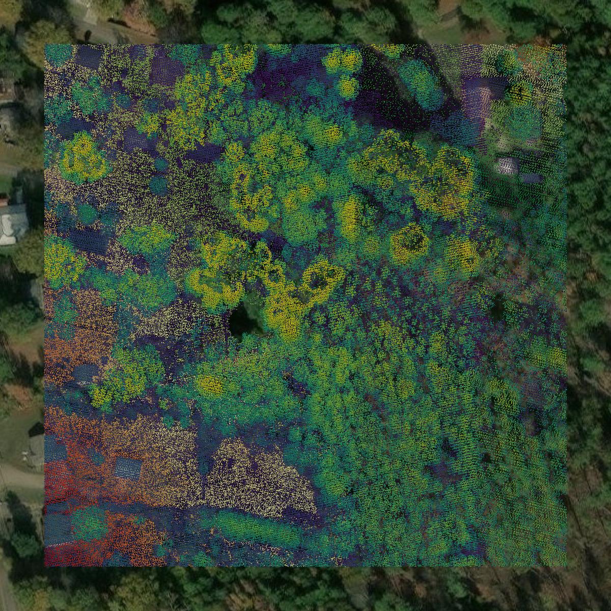 This image shows a LiDAR point cloud in Harrison County created using GIS data in Equator.