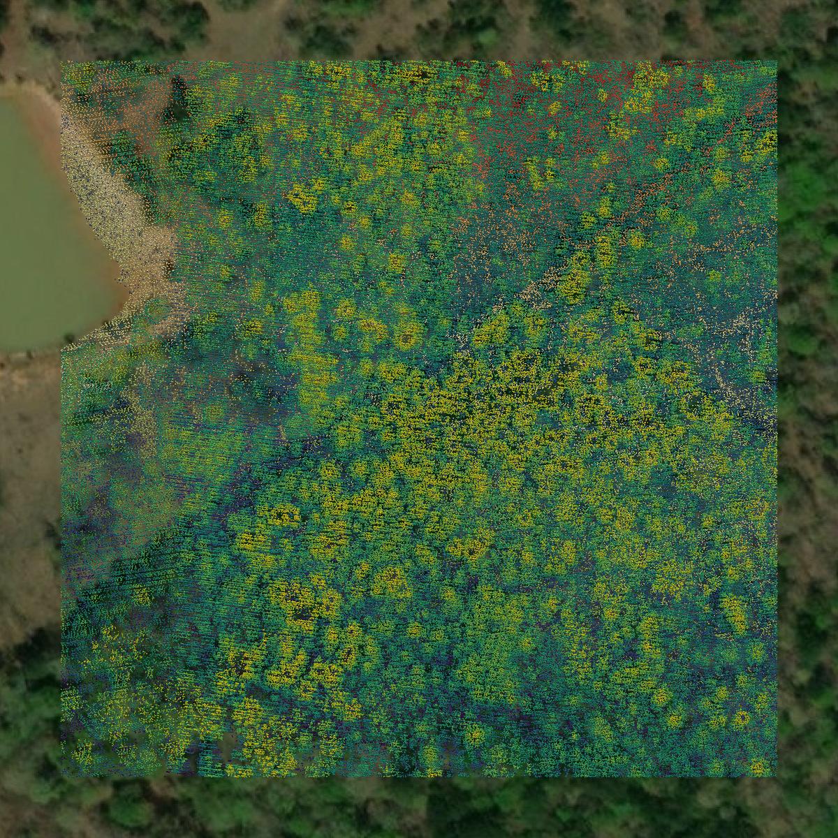 This image shows a LiDAR point cloud in Harrison County created using GIS data in Equator.