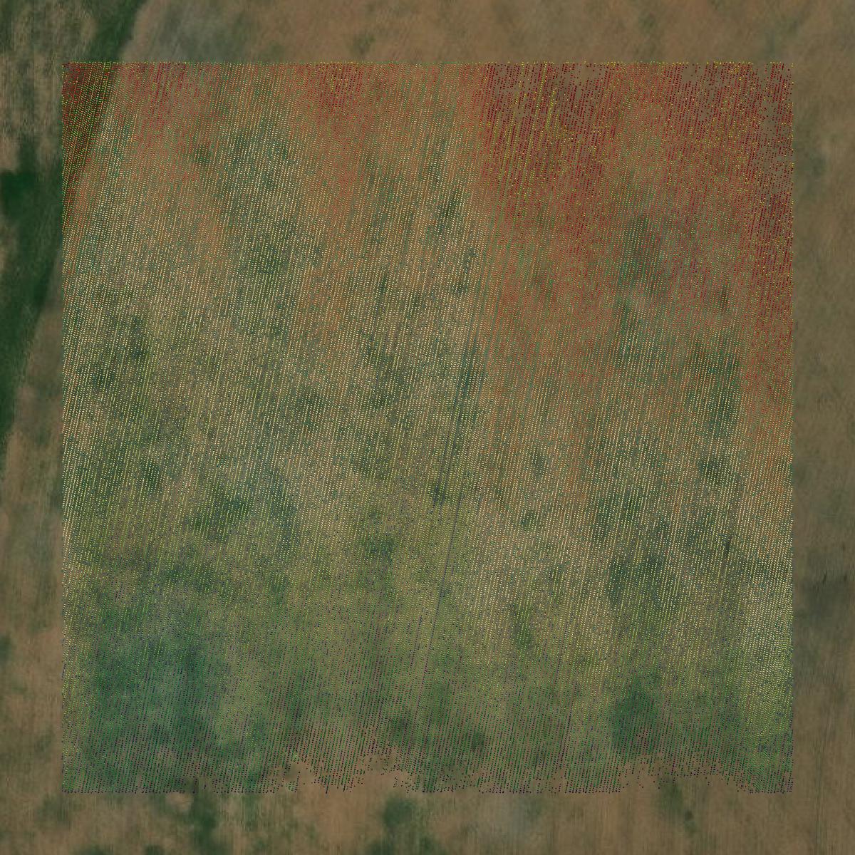 This image shows a LiDAR point cloud in Hartley County created using GIS data in Equator.