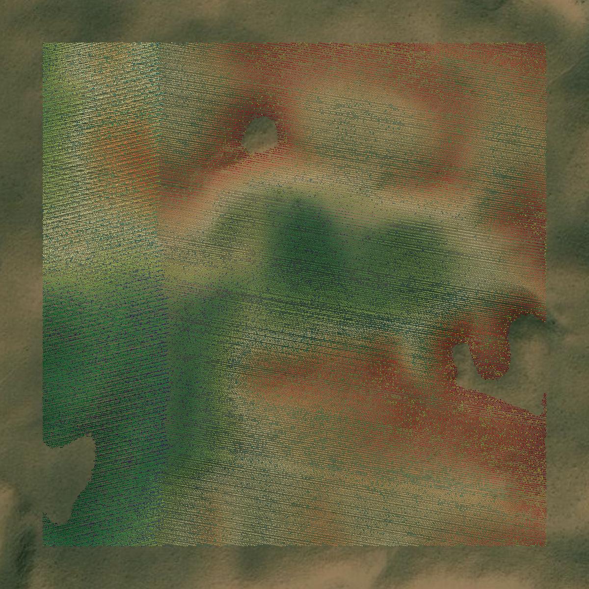 This image shows a LiDAR point cloud in Hemphill County created using GIS data in Equator.