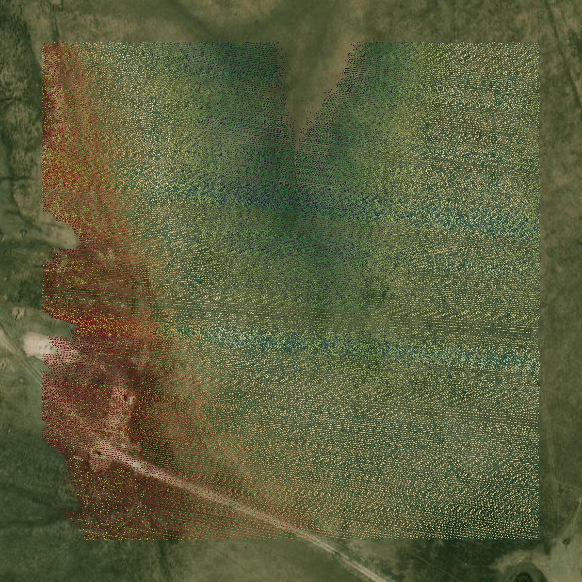 This image shows a LiDAR point cloud in Hemphill County created using GIS data in Equator.