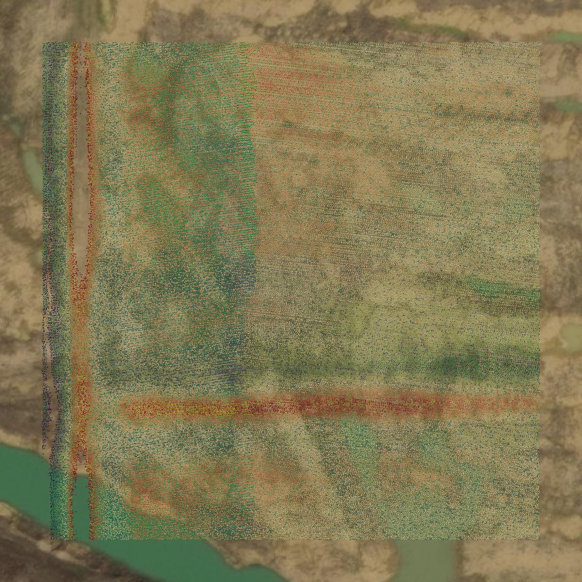 This image shows a LiDAR point cloud in Henderson County created using GIS data in Equator.