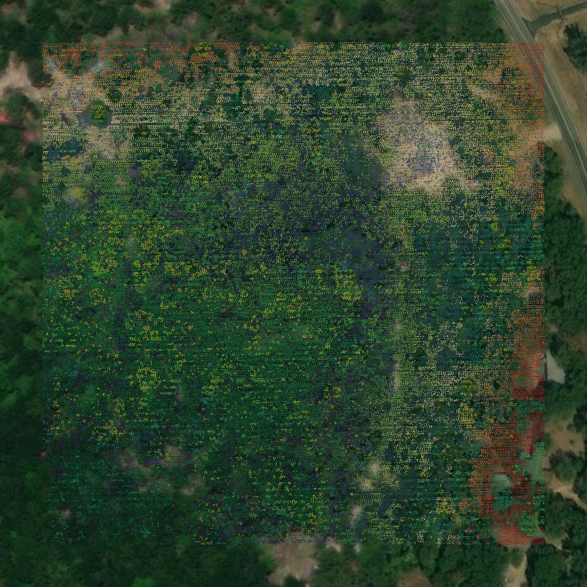 This image shows a LiDAR point cloud in Henderson County created using GIS data in Equator.