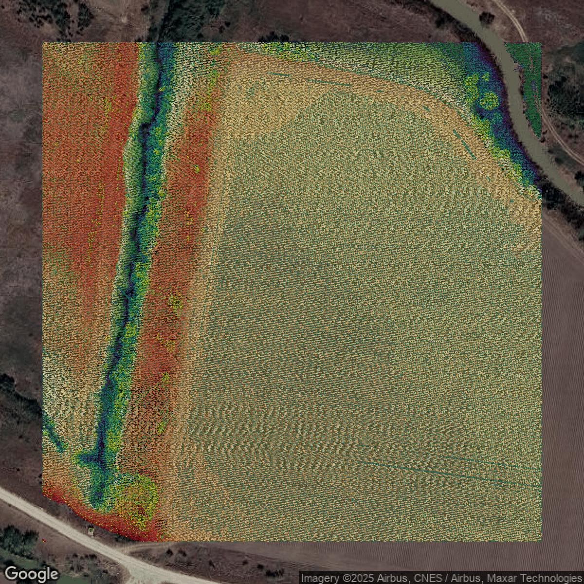 This image shows a LiDAR point cloud in Hidalgo County created using GIS data in Equator.