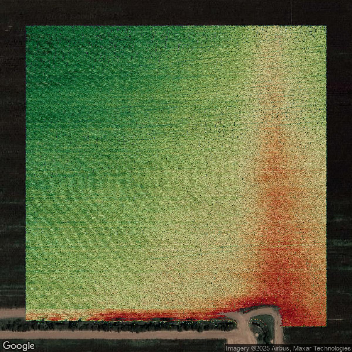 This image shows a LiDAR point cloud in Hidalgo County created using GIS data in Equator.