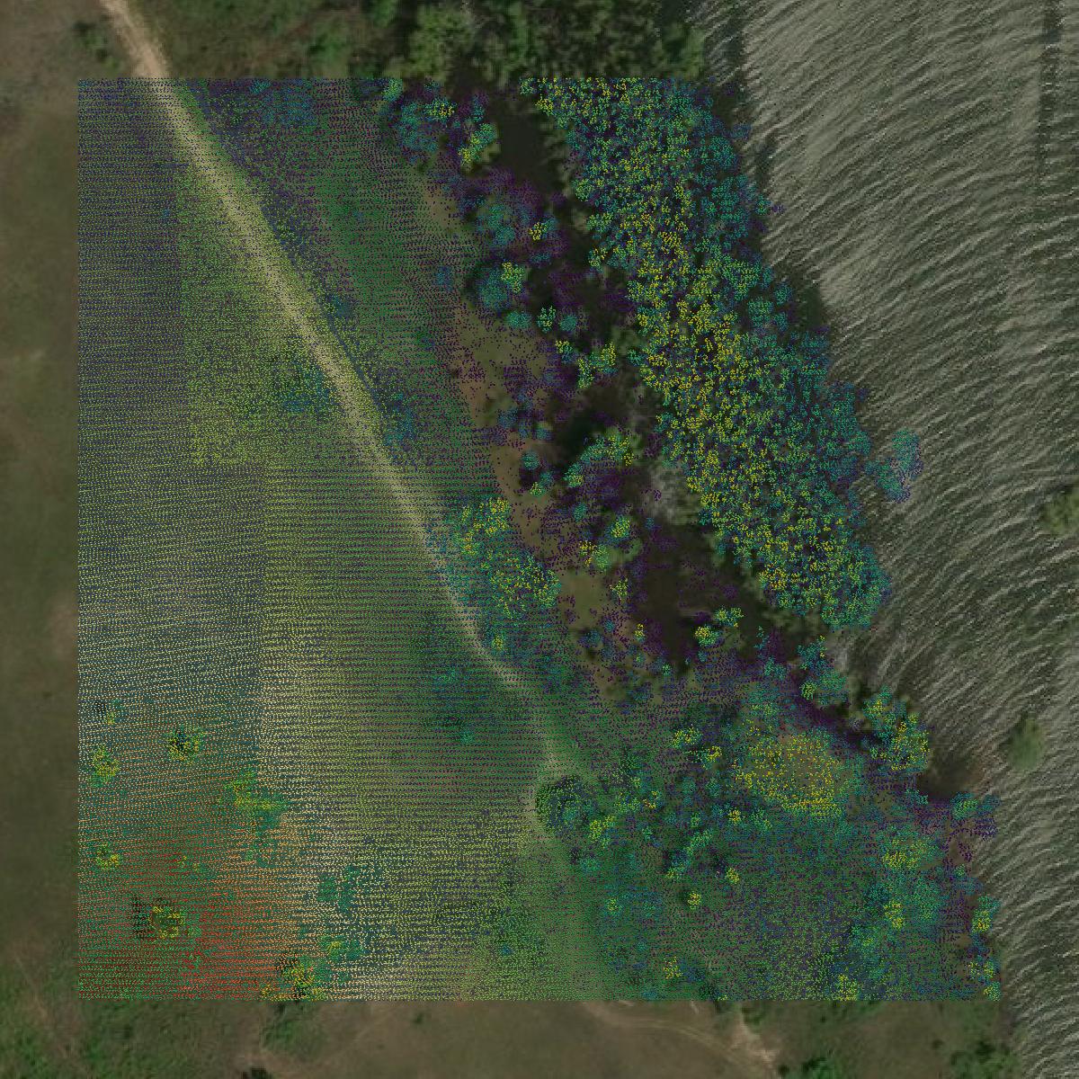 This image shows a LiDAR point cloud in Hill County created using GIS data in Equator.