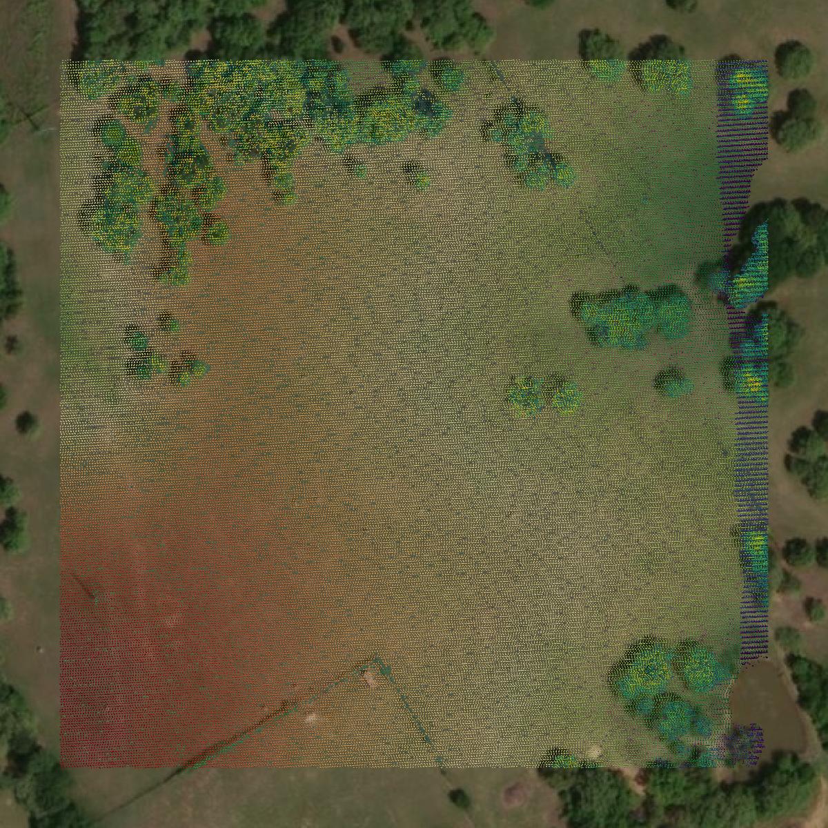 This image shows a LiDAR point cloud in Hill County created using GIS data in Equator.