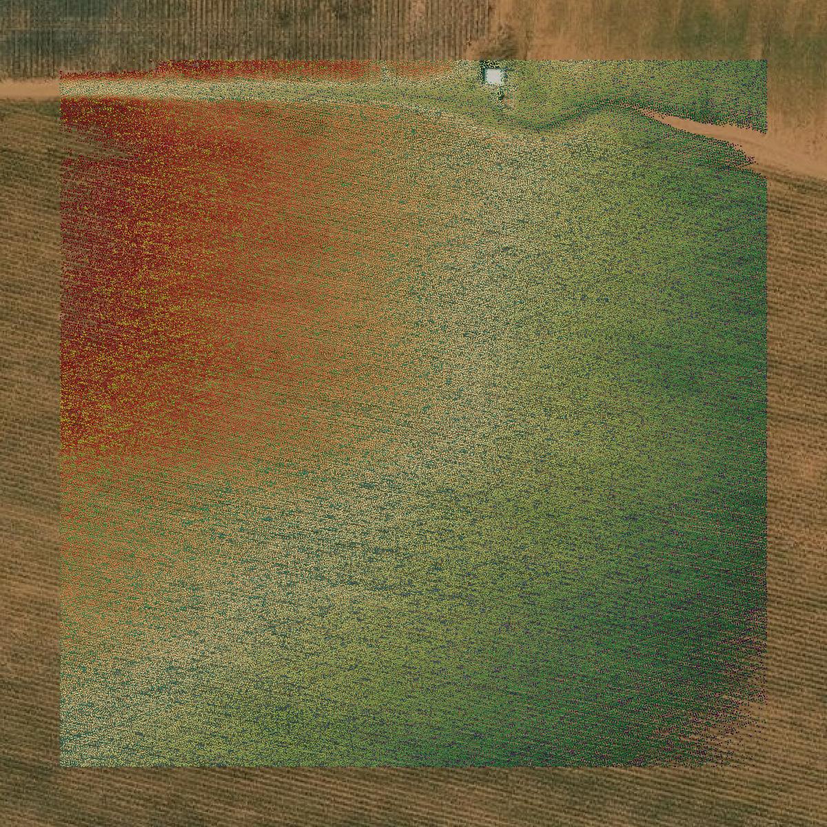 This image shows a LiDAR point cloud in Hockley County created using GIS data in Equator.