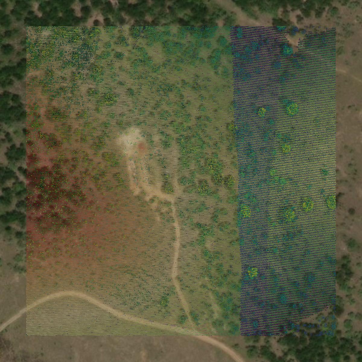 This image shows a LiDAR point cloud in Hood County created using GIS data in Equator.