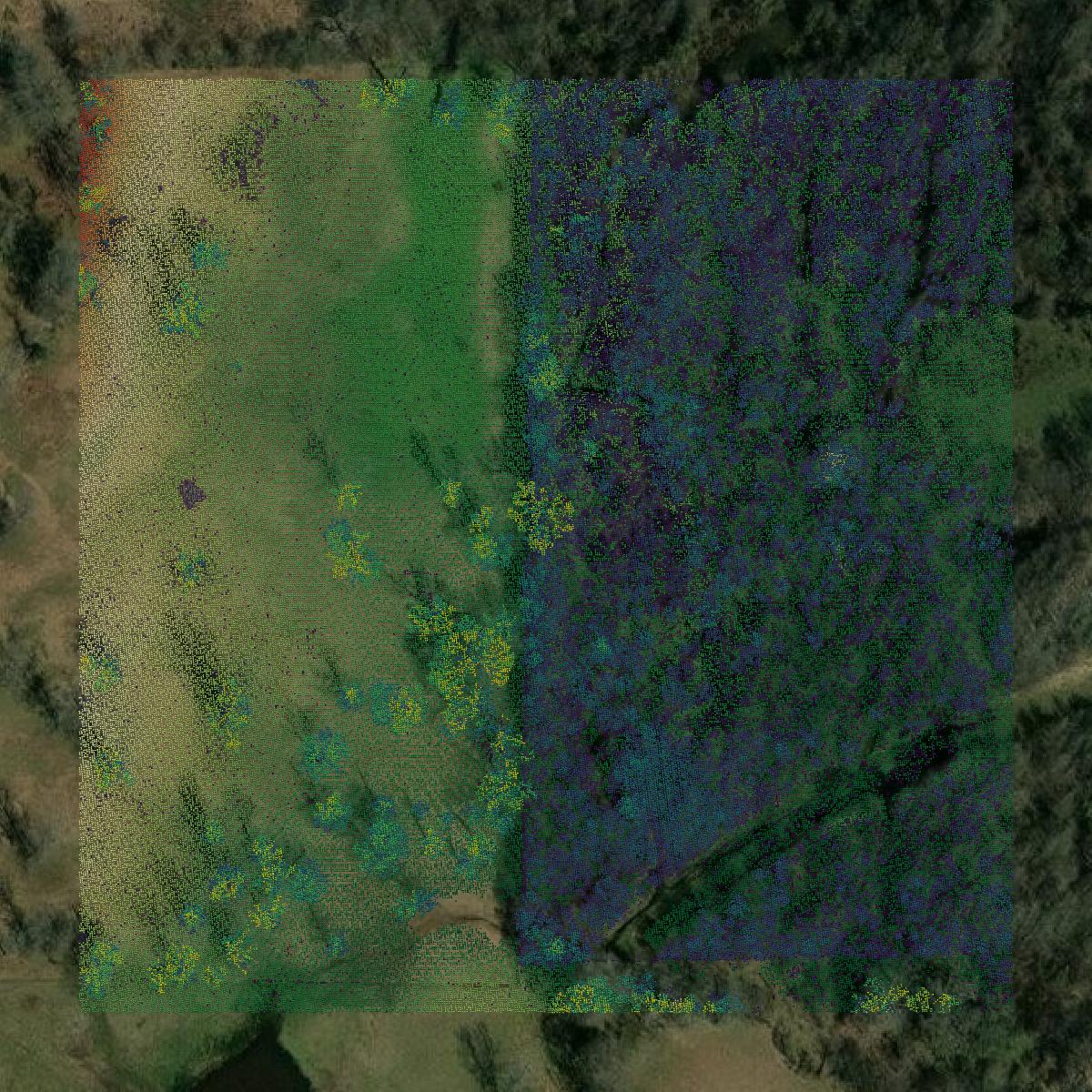 This image shows a LiDAR point cloud in Hopkins County created using GIS data in Equator.