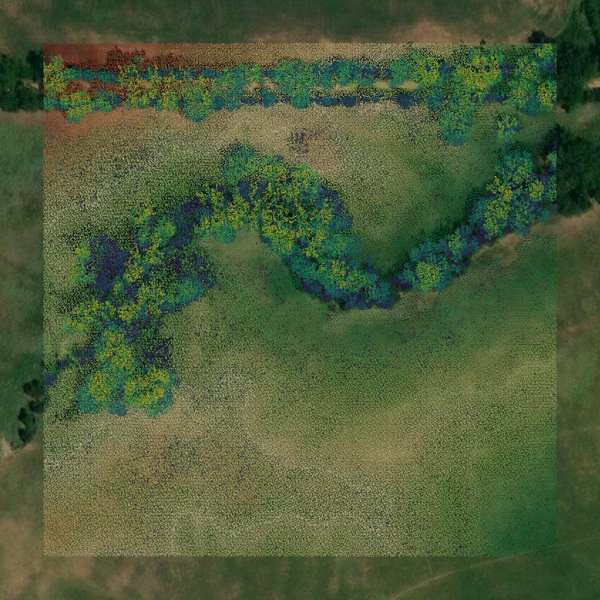 This image shows a LiDAR point cloud in Hopkins County created using GIS data in Equator.