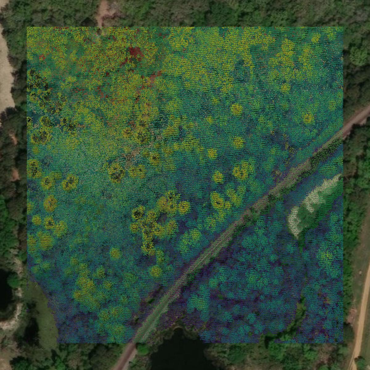This image shows a LiDAR point cloud in Houston County created using GIS data in Equator.