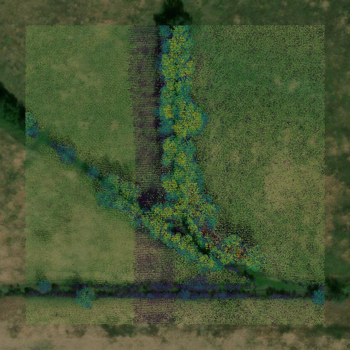 This image shows a LiDAR point cloud in Houston County created using GIS data in Equator.