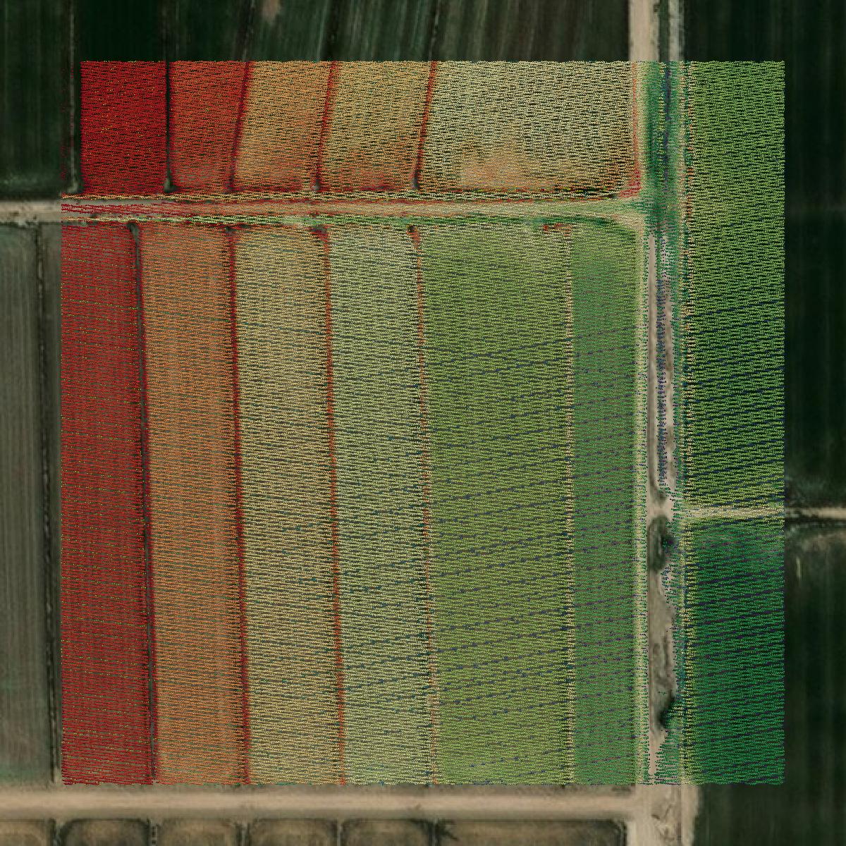 This image shows a LiDAR point cloud in Hudspeth County created using GIS data in Equator.