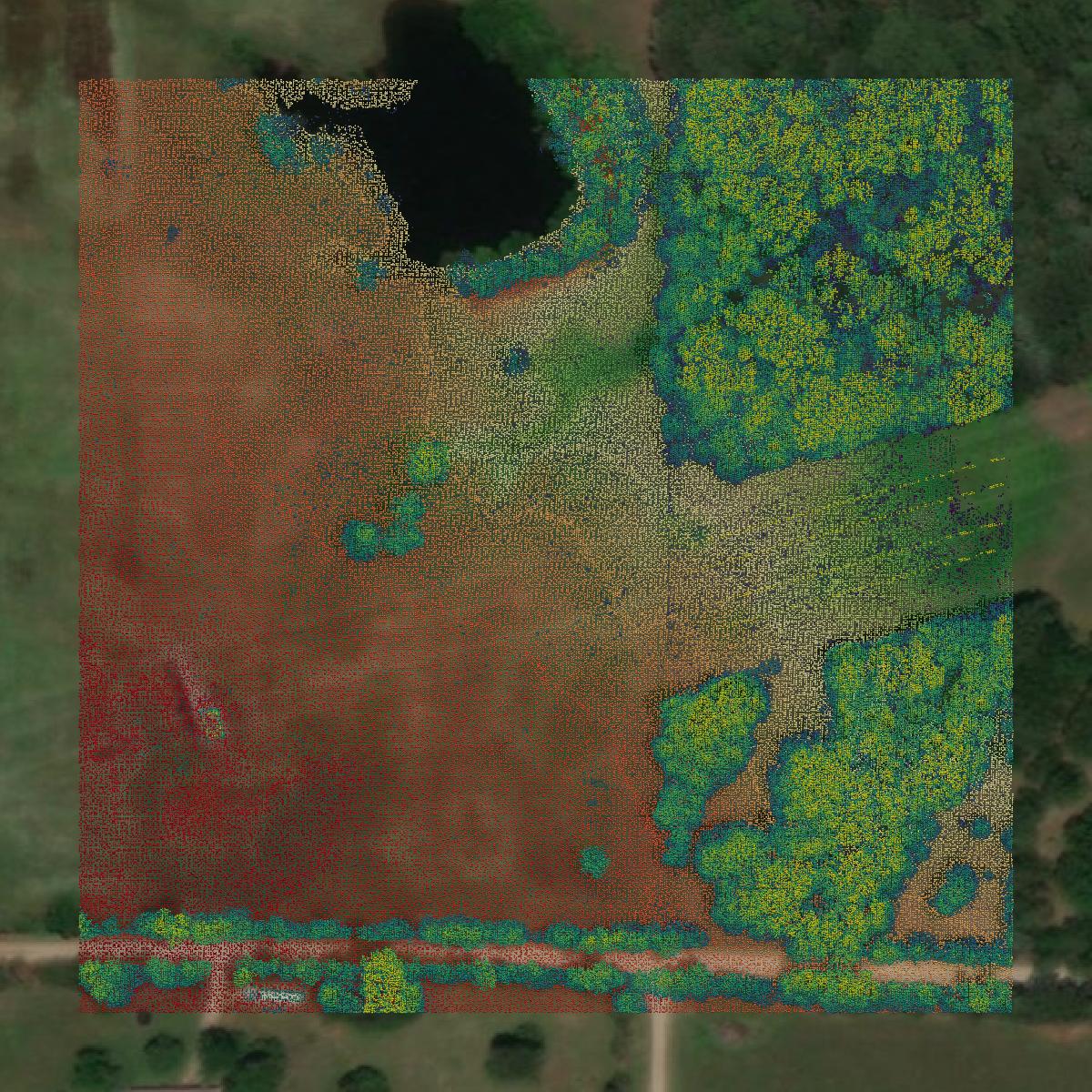This image shows a LiDAR point cloud in Hunt County created using GIS data in Equator.