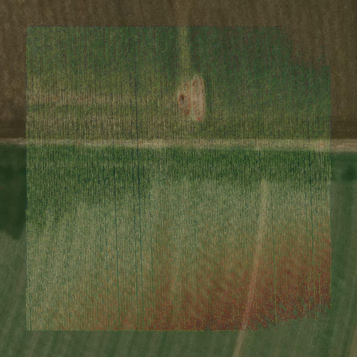 This image shows a LiDAR point cloud in Hutchinson County created using GIS data in Equator.