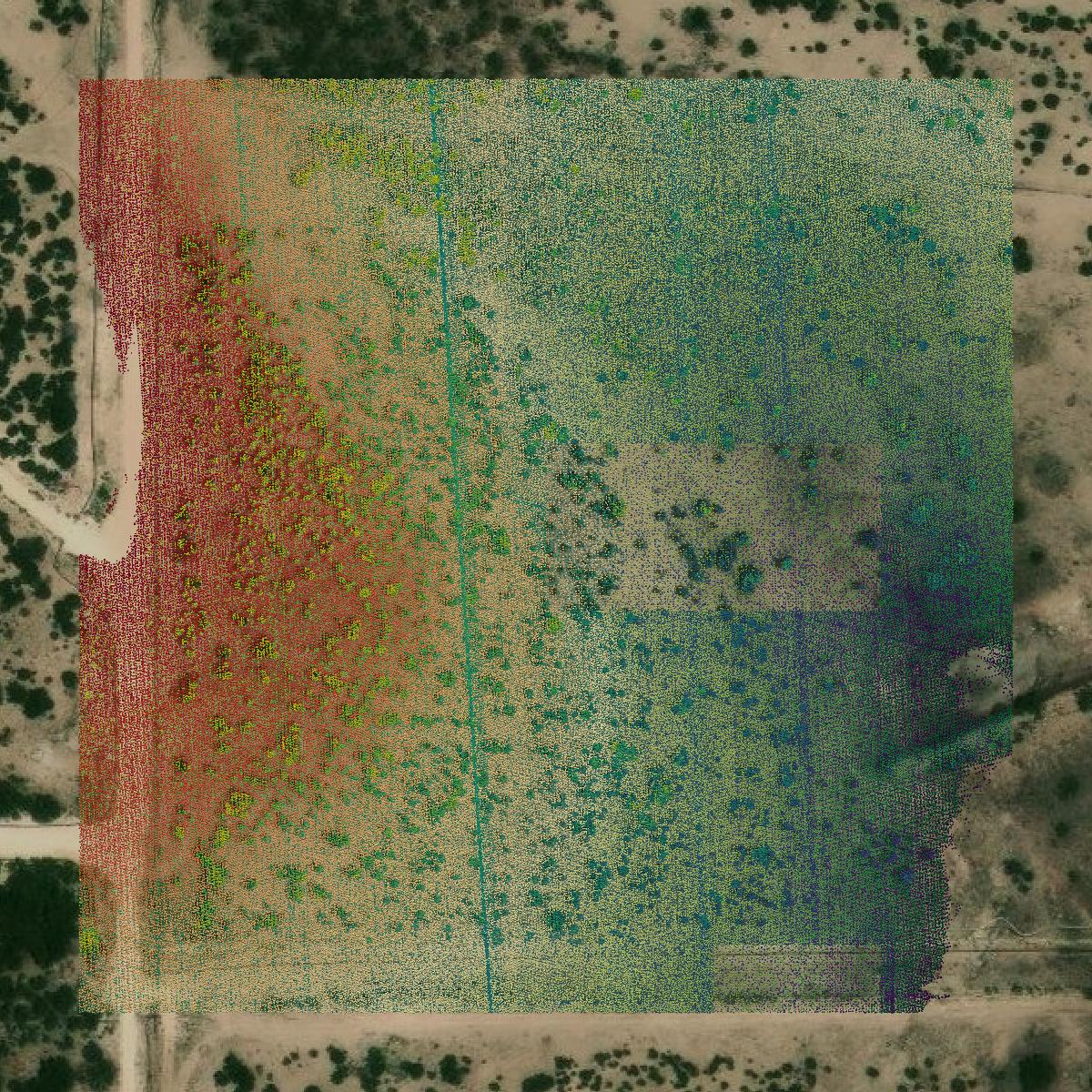 This image shows a LiDAR point cloud in Irion County created using GIS data in Equator.