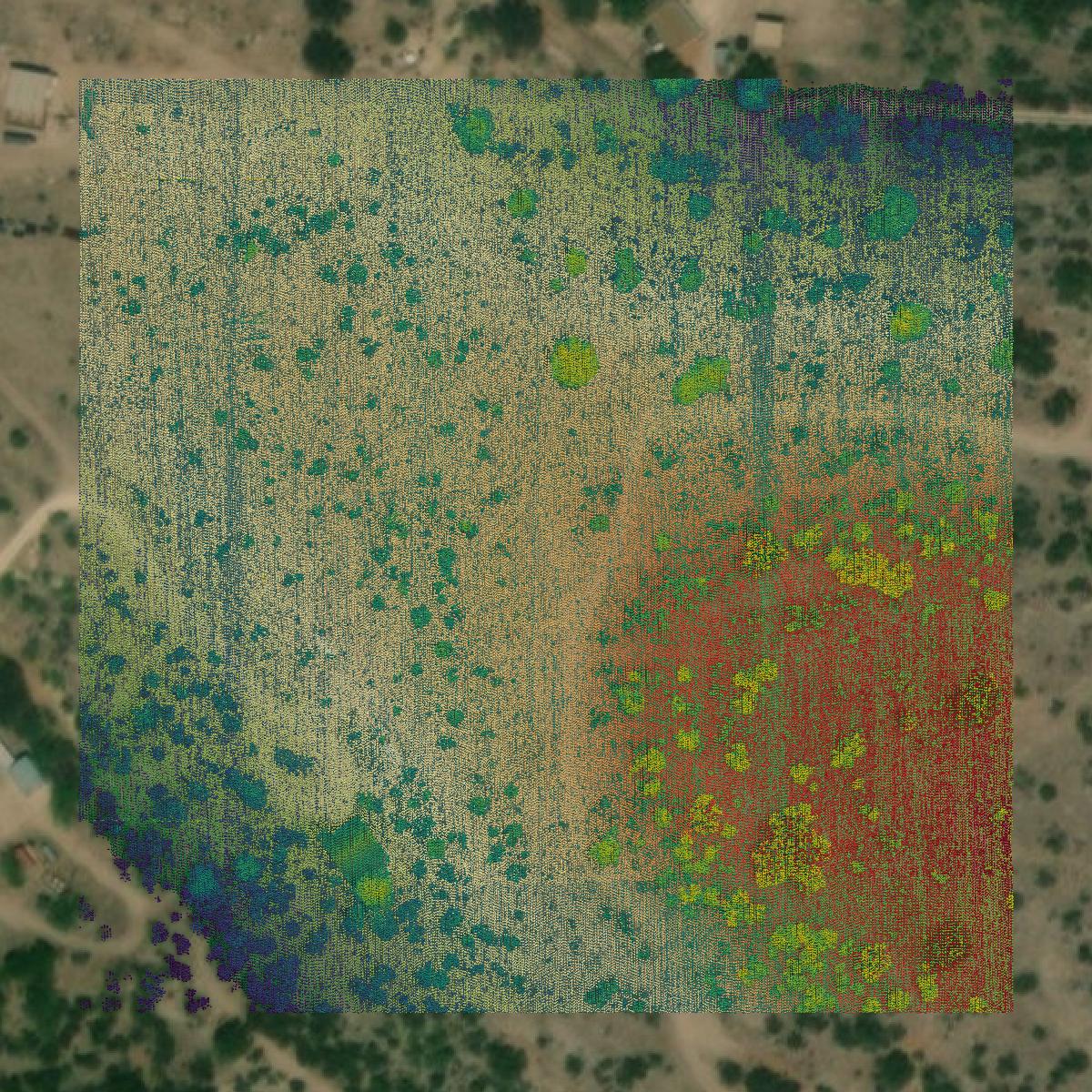 This image shows a LiDAR point cloud in Irion County created using GIS data in Equator.
