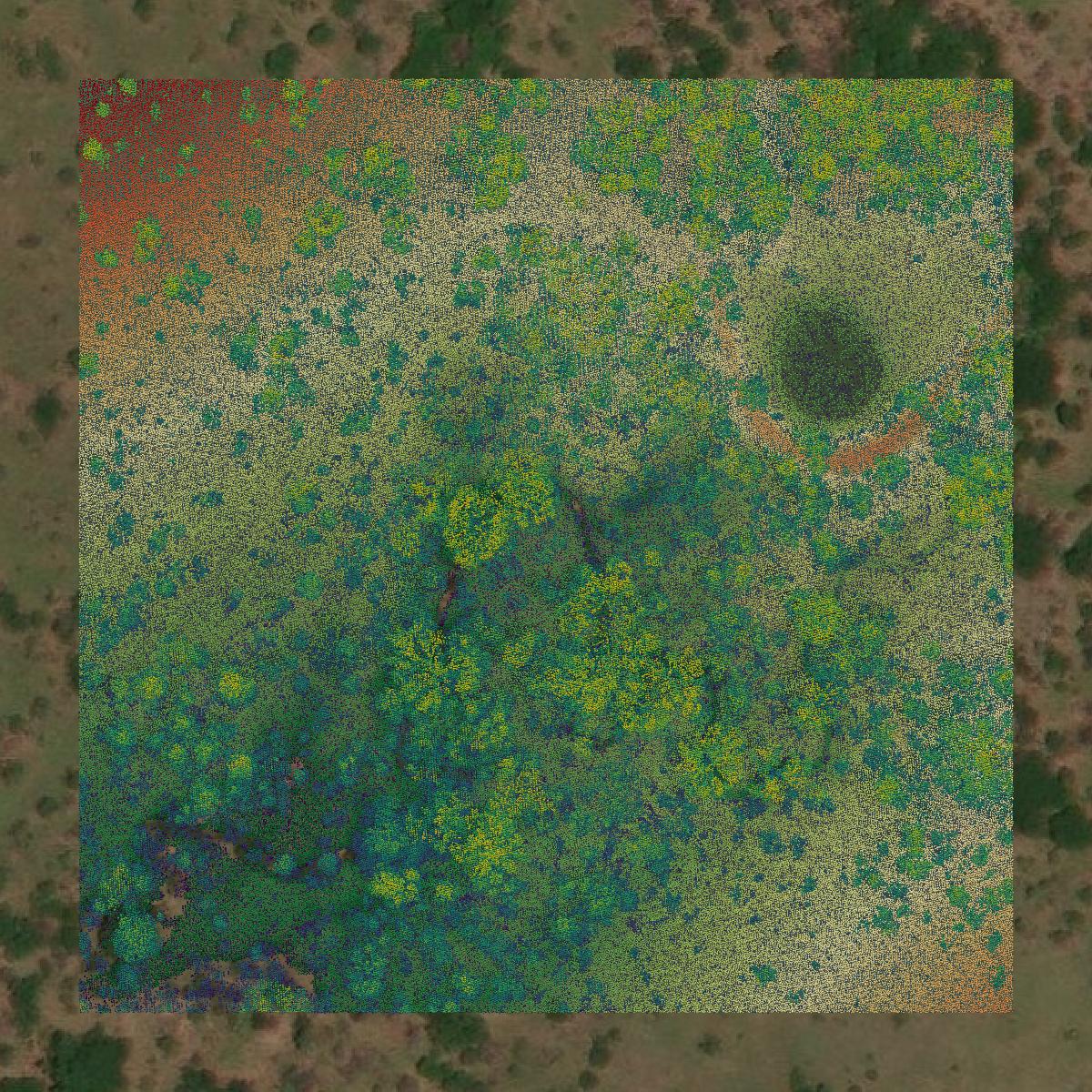 This image shows a LiDAR point cloud in Jack County created using GIS data in Equator.