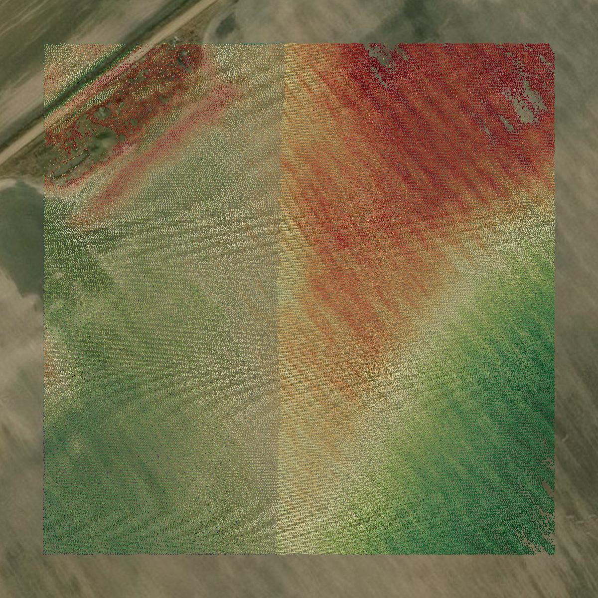 This image shows a LiDAR point cloud in Jackson County created using GIS data in Equator.