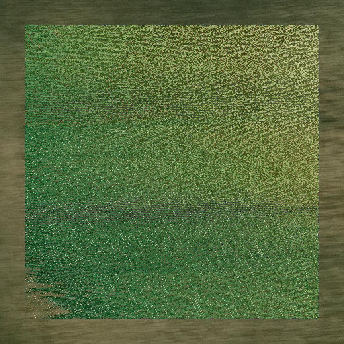 This image shows a LiDAR point cloud in Jackson County created using GIS data in Equator.