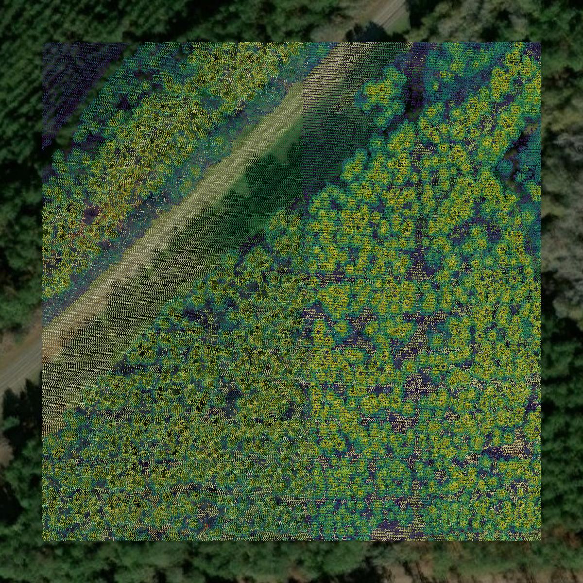 This image shows a LiDAR point cloud in Jasper County created using GIS data in Equator.