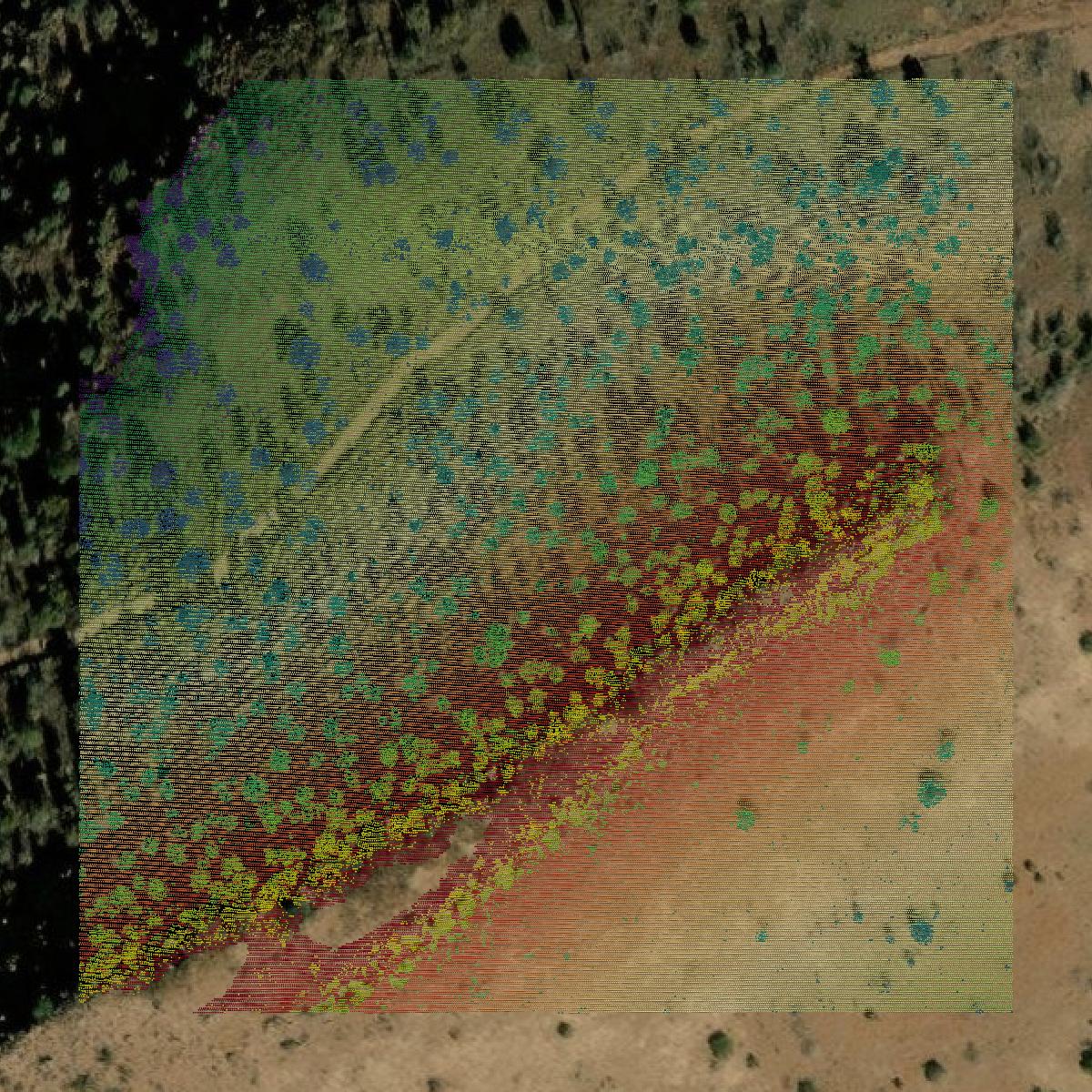 This image shows a LiDAR point cloud in Jeff Davis County created using GIS data in Equator.