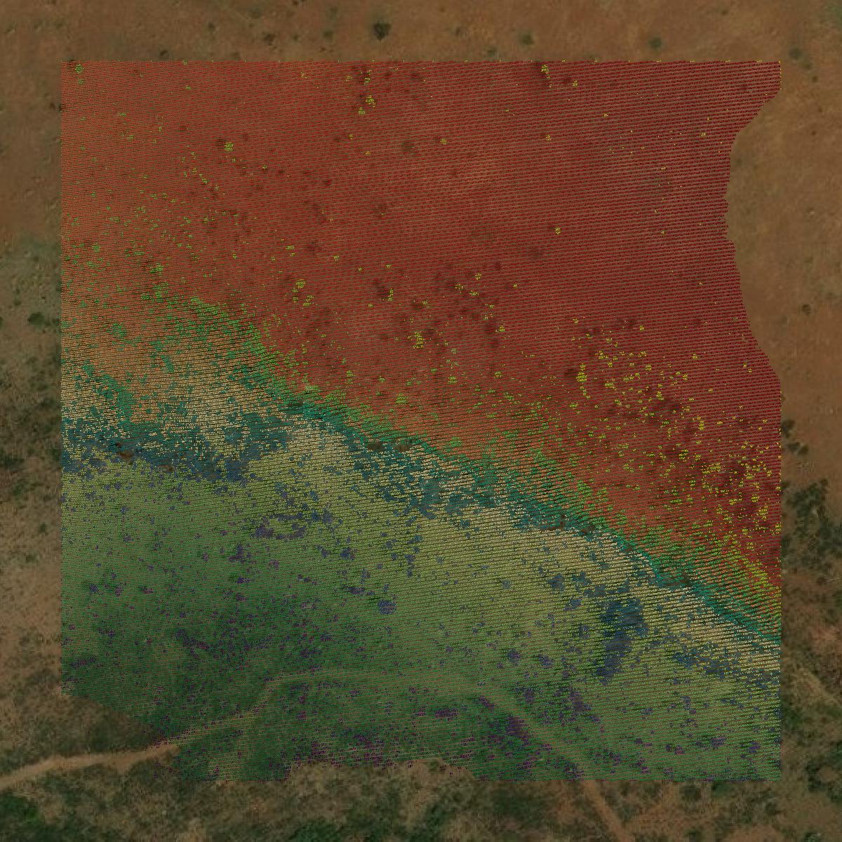 This image shows a LiDAR point cloud in Jeff Davis County created using GIS data in Equator.