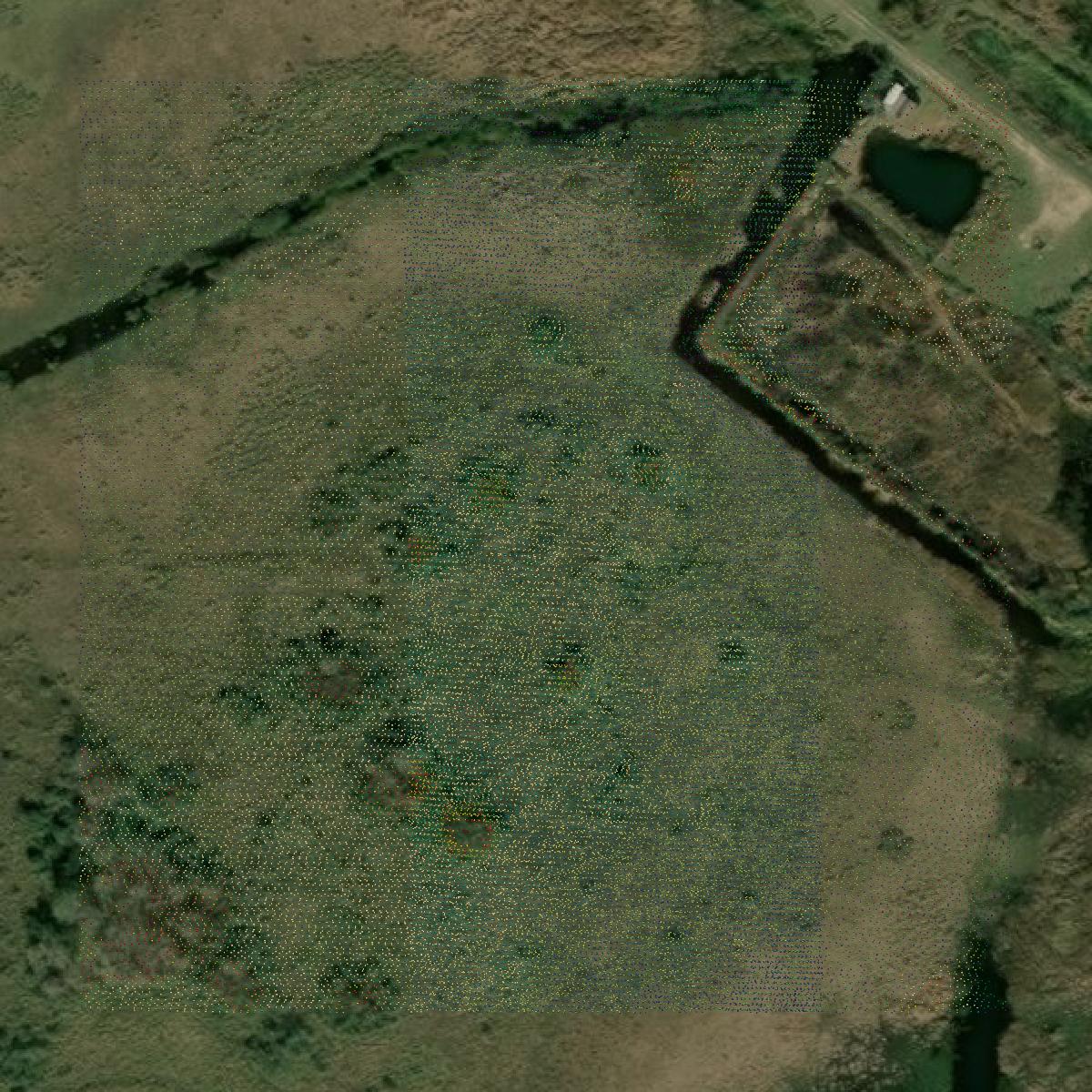 This image shows a LiDAR point cloud in Jefferson County created using GIS data in Equator.