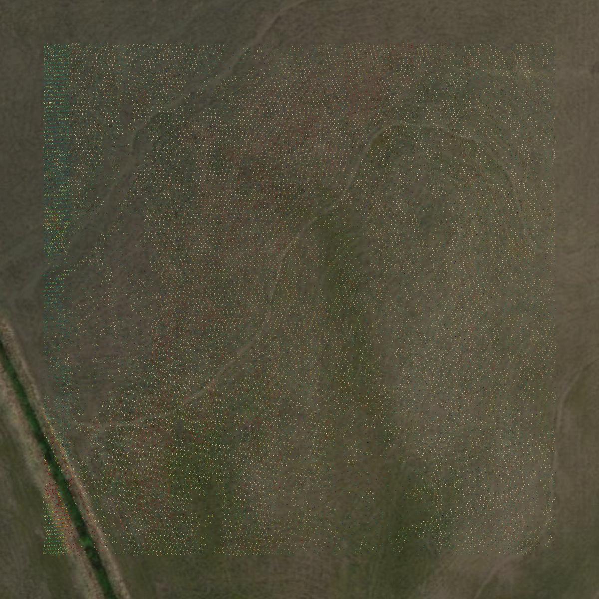 This image shows a LiDAR point cloud in Jefferson County created using GIS data in Equator.