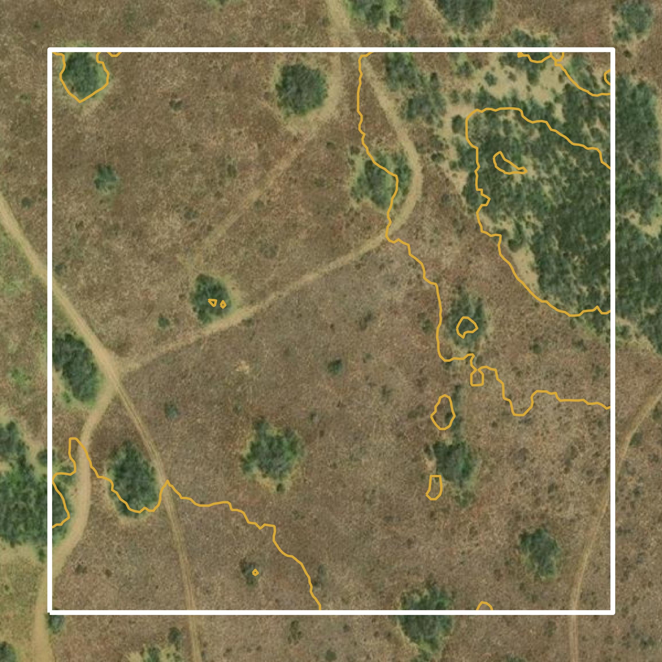 This image shows a contour map in Jim Hogg County created using GIS data in Equator.