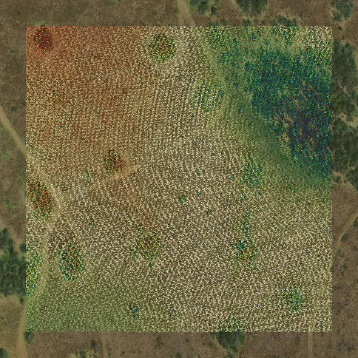 This image shows a LiDAR point cloud in Jim Hogg County created using GIS data in Equator.