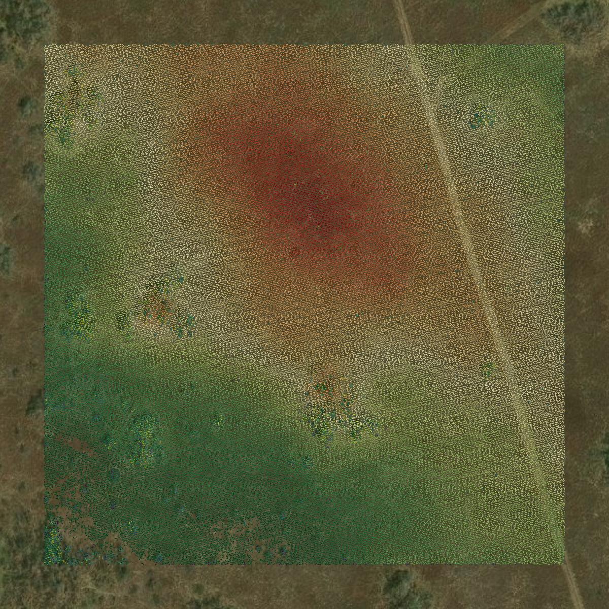 This image shows a LiDAR point cloud in Jim Hogg County created using GIS data in Equator.