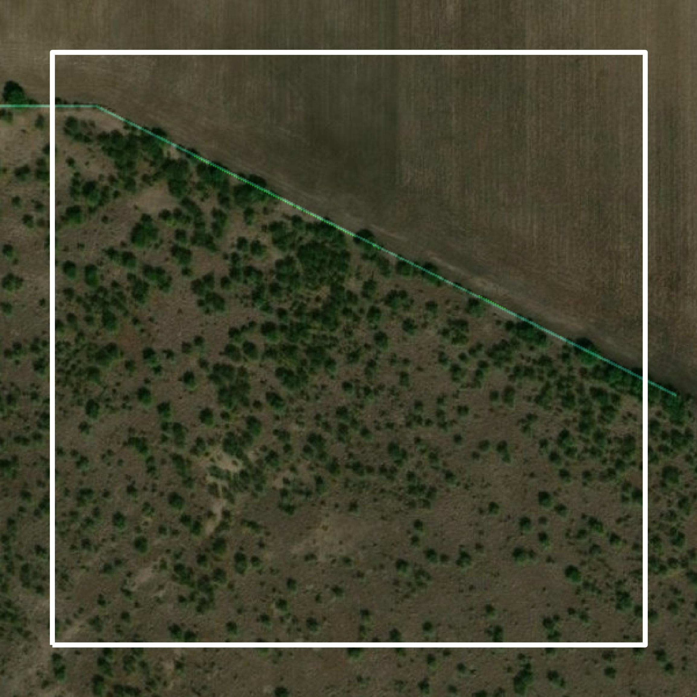 This image shows parcel and building data in Jim Wells County created using GIS data in Equator.