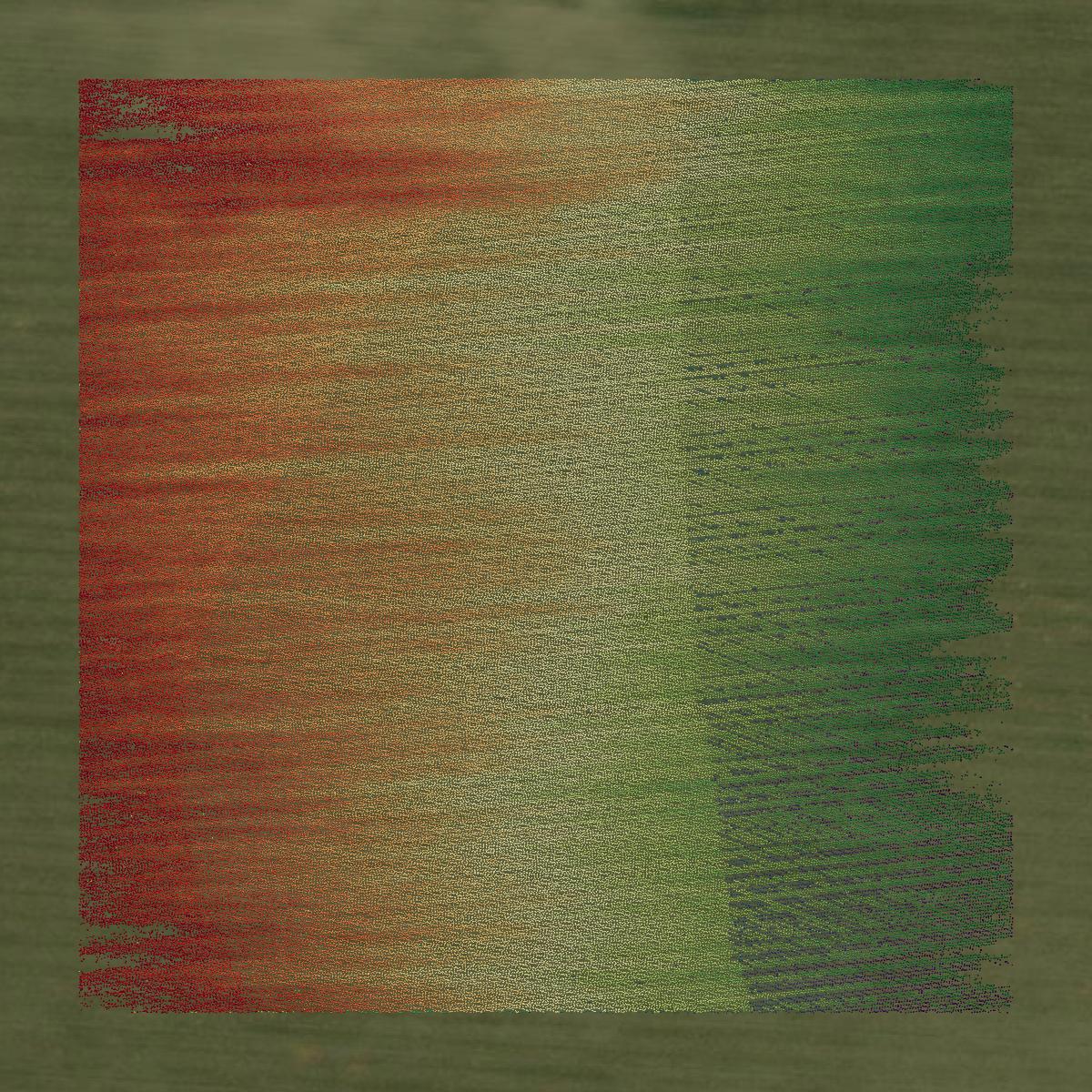 This image shows a LiDAR point cloud in Jim Wells County created using GIS data in Equator.